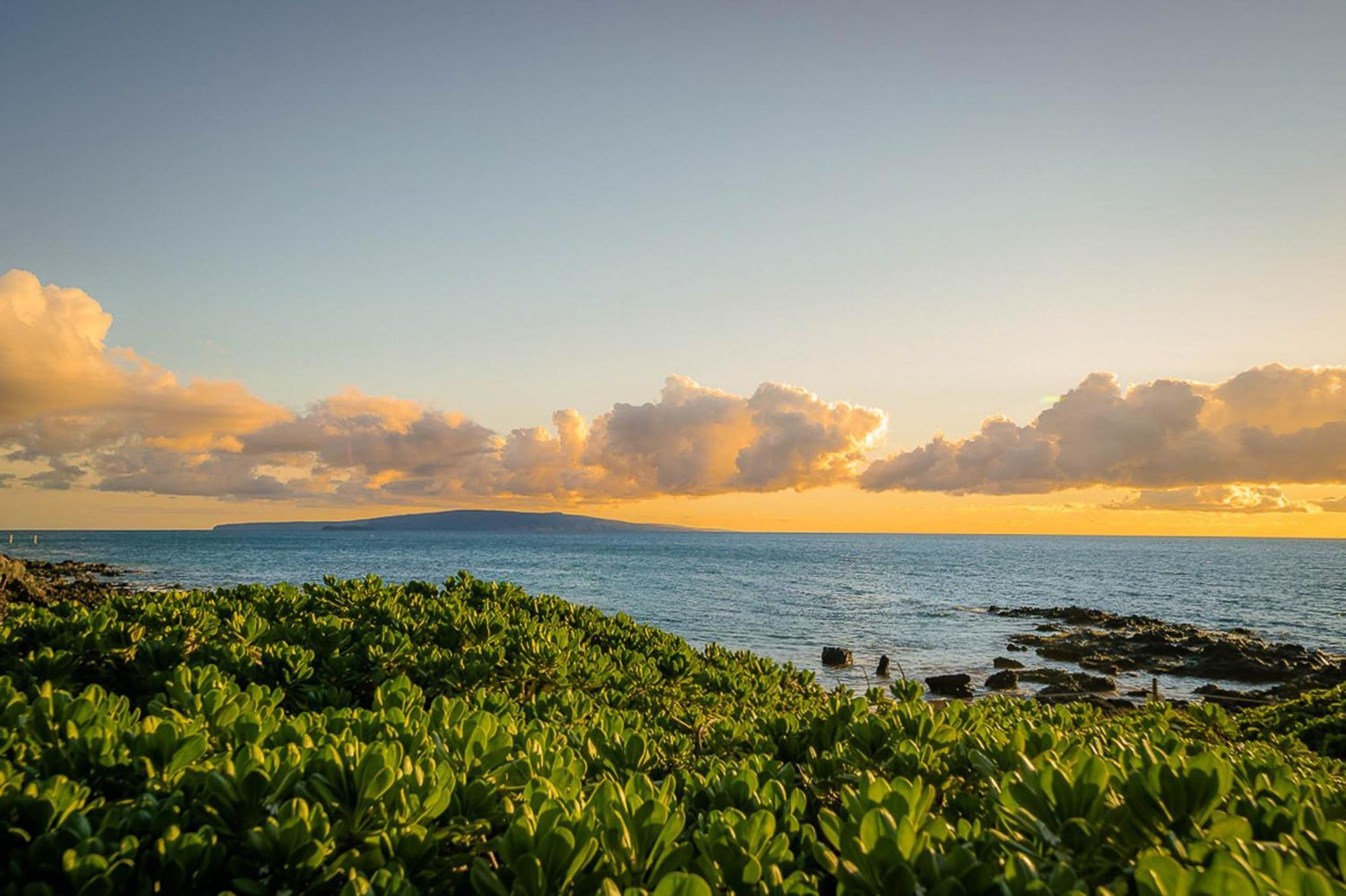Maui Kamaole H-101 Apartment Wailea  Bagian luar foto